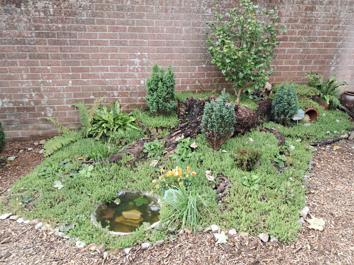 Meditation Garden 19Sep25