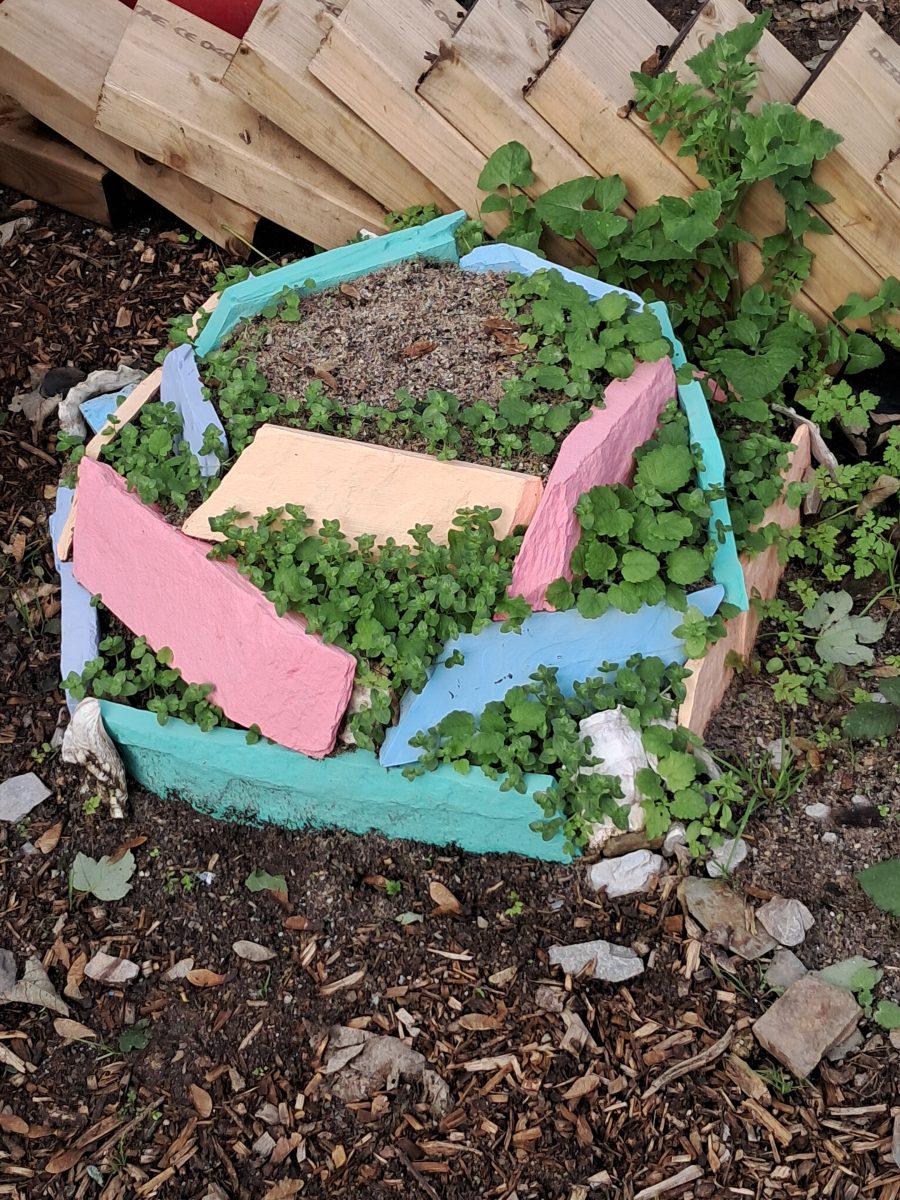 Meditation Garden 19Sep25