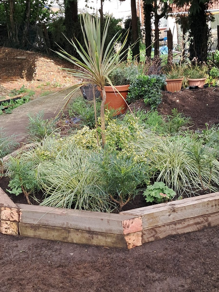 Meditation Garden 19Sep25